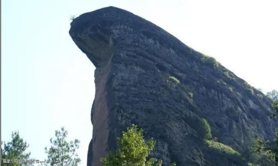 ����Ŀڸ�����