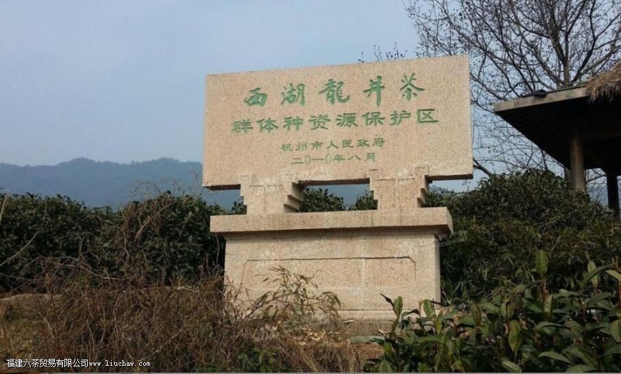 ��α����������