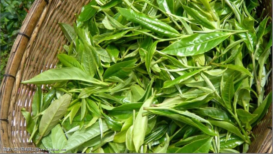 ���ѡ�� ����4��ʵ�õ���轨��