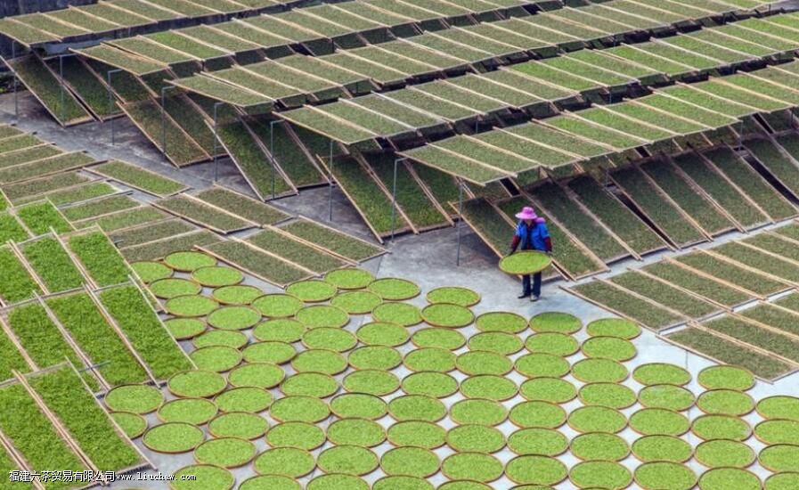 ���ѡ�� ����4��ʵ�õ���轨��