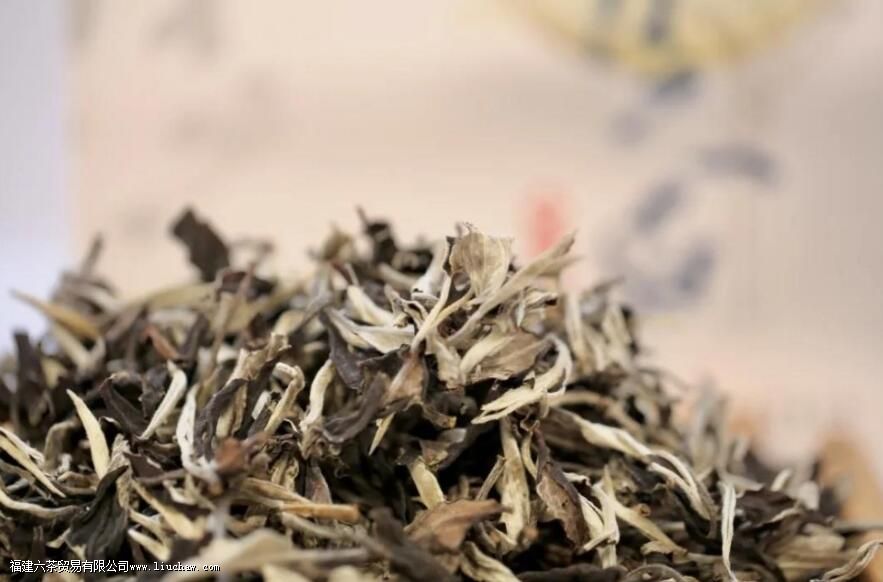 ��ʫ�续�������¹�ײ裬�¹�����