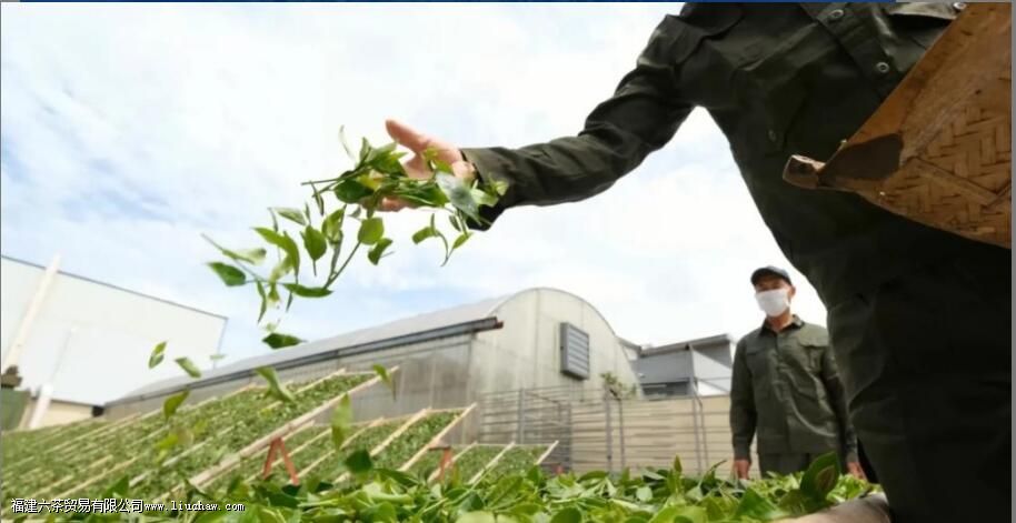 杀青是什么意思 杀青是什么意思