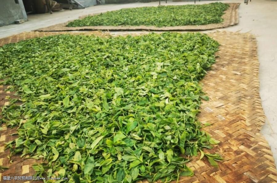 杀青是什么意思 杀青是什么意思