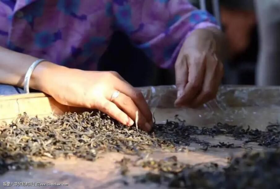 ɹ���̲�����Щ��