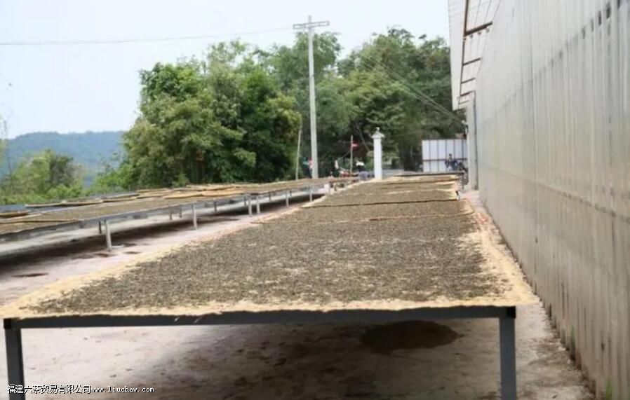 ɹ���̲�����Щ��