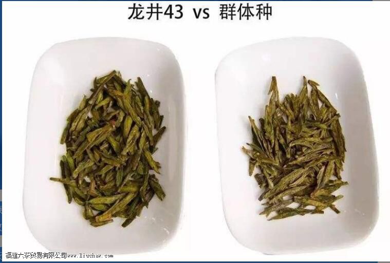 ʲô����������