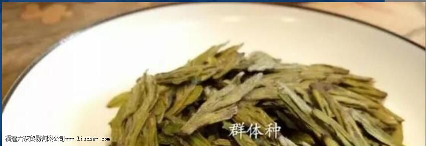 ʲô����������