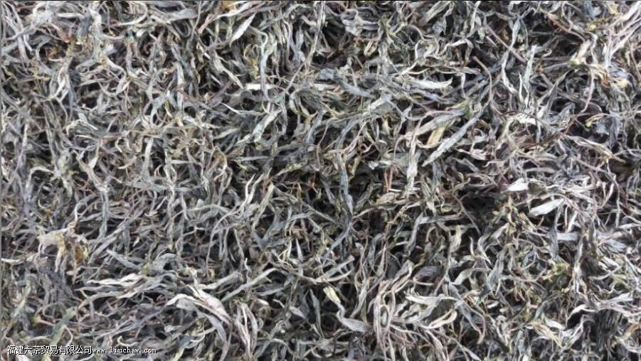 ʲô������