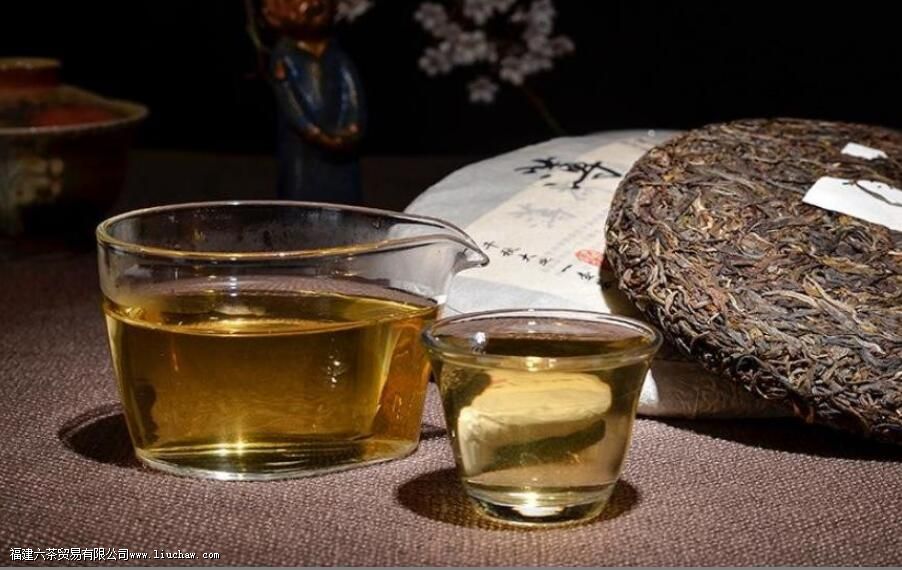 什么是茶气 茶气的表现有哪些 什么是茶气 茶气的表现有哪些