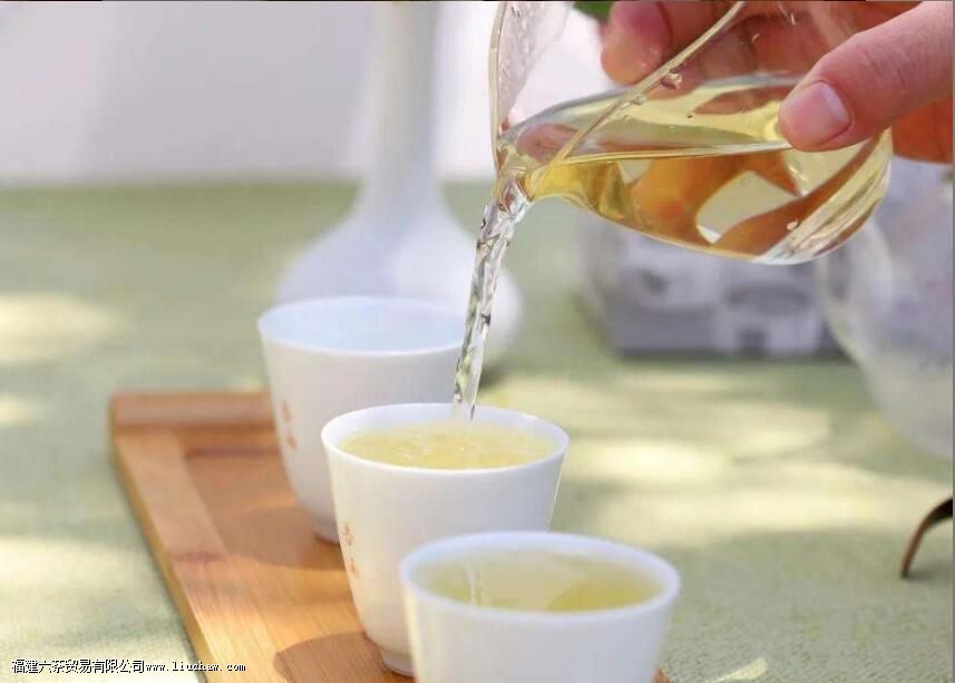 什么是茶气 茶气的表现有哪些 什么是茶气 茶气的表现有哪些