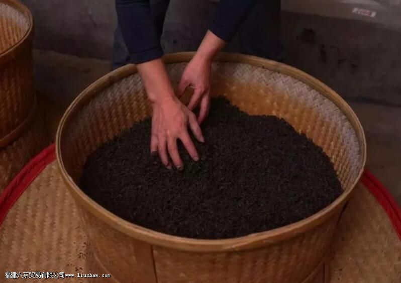 什么是茶叶的加工 什么是茶叶的加工