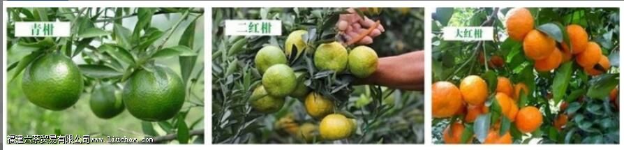 ʲô�Ǹ��ղ� ���ղ�������Щ����������