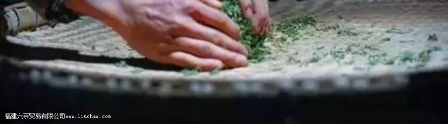 什么是黄茶制作中的关键工艺 什么是黄茶制作中的关键工艺