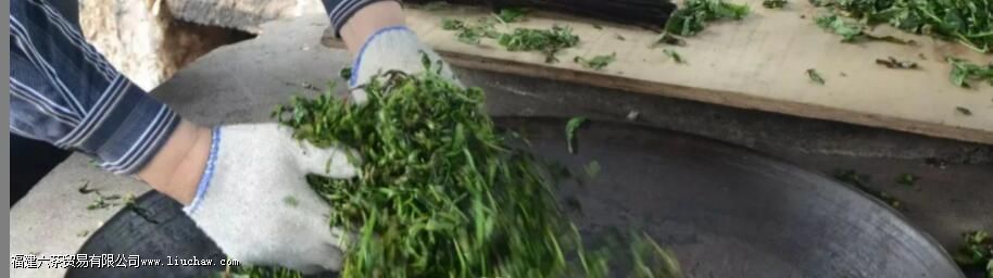 ʲô������ή��