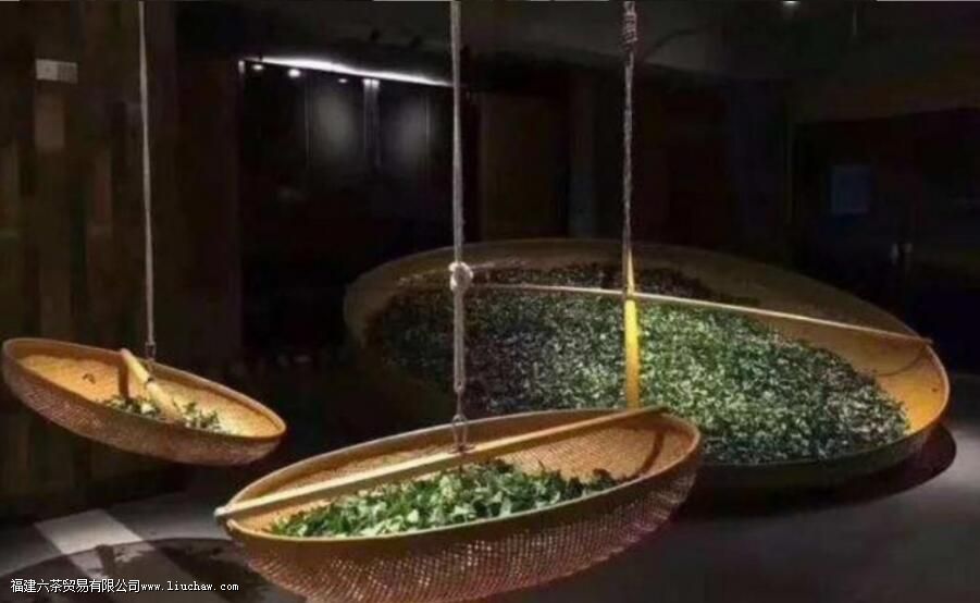 什么是乌龙茶 什么是乌龙茶