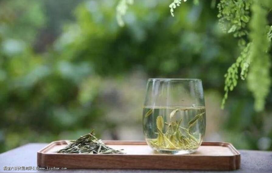 什么是一泡茶 什么是一泡茶