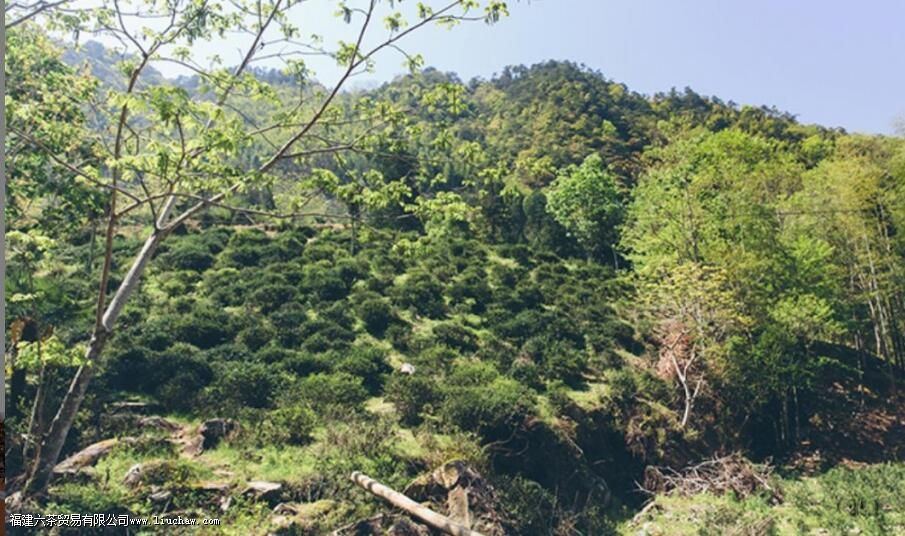 ʲô����ɽС��