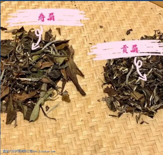 ��ü�ĵȼ����ص�