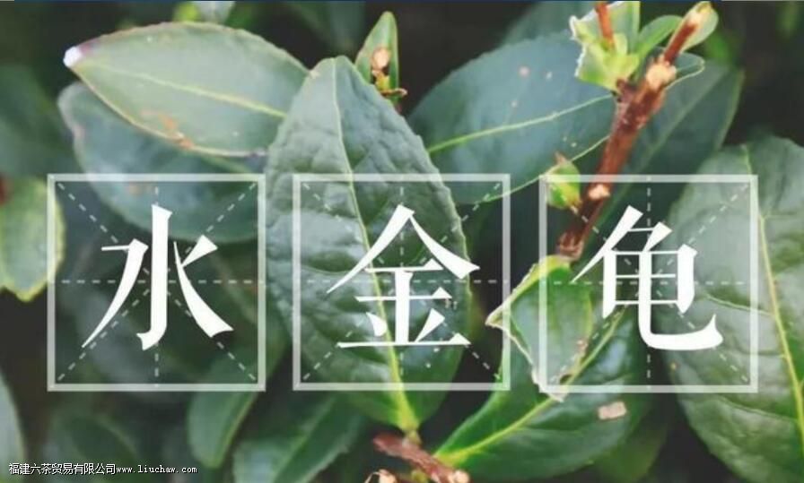 ˮ�������ʲô��