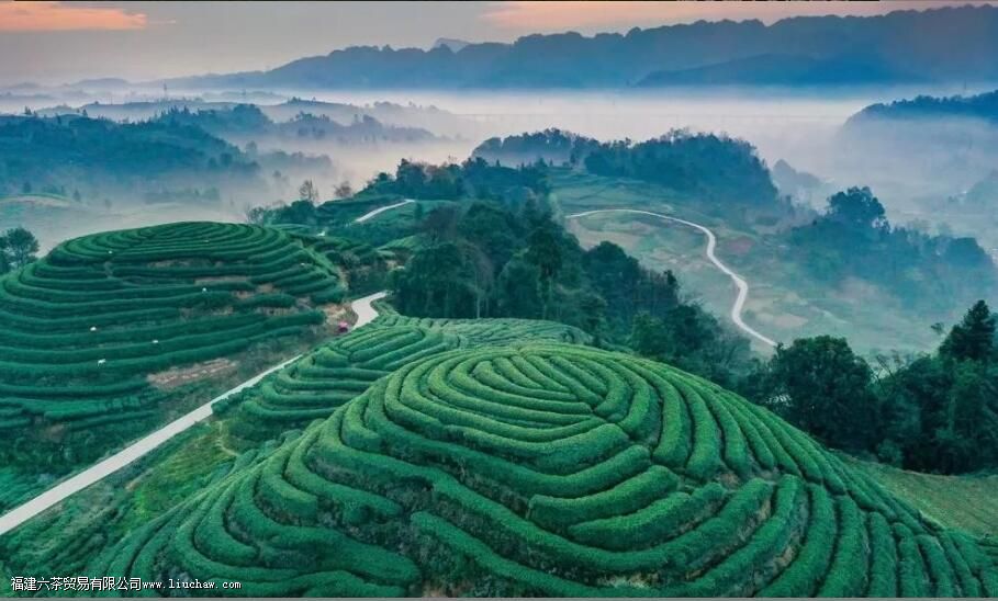 �Ĵ���ֲ�����������Щ