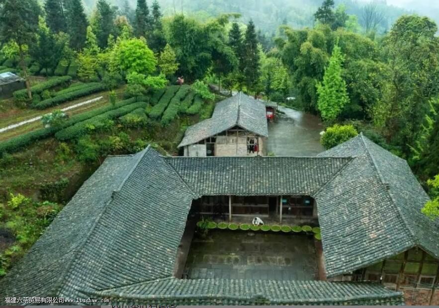 �Ĵ���ֲ�����������Щ