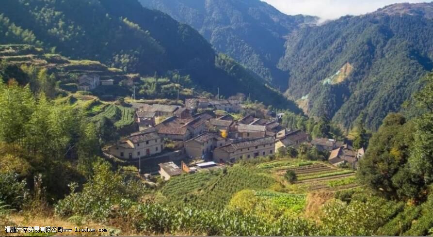 ���������ʲô�ص�