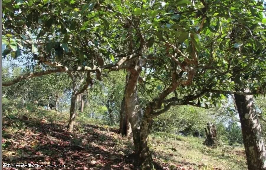 ̨�ز�ʹ�������ʲô����