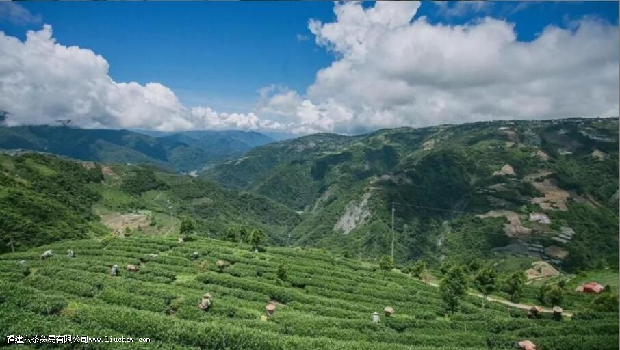 ̨���Ҷ����Щ