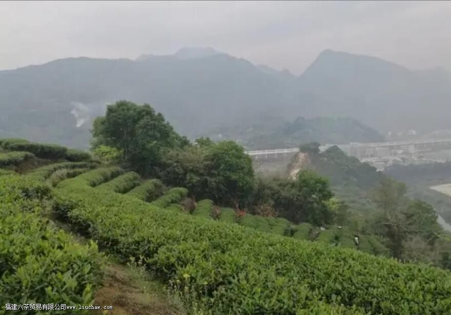 ̫��ɽ�ײ���ص�