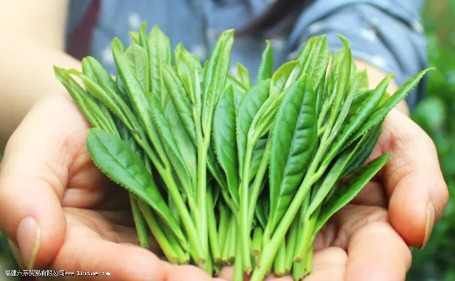 ̫ƽ������Ʒ�������Լ��ص�