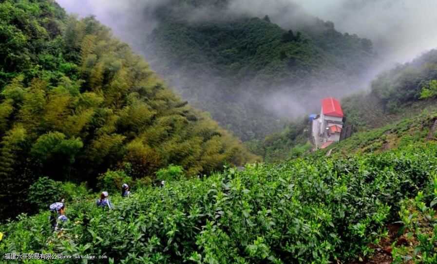 ̫ƽ������ص㼰�ڸ�