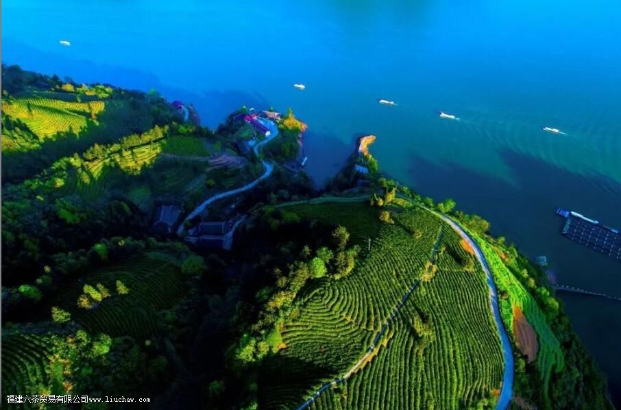 ̲����ʲô�� ̲����ص�