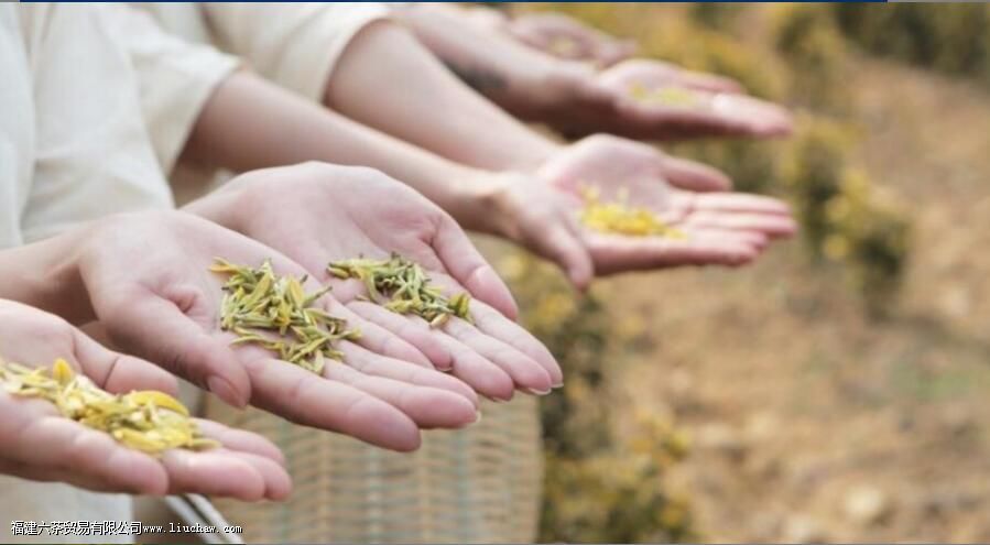 ��̨ɽ�Ʋ���ʲô��