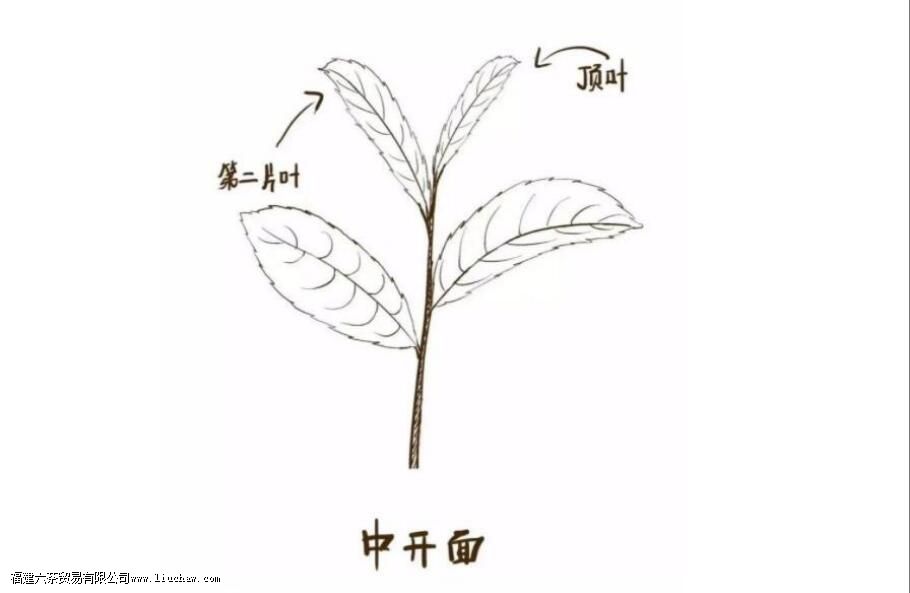 ��������ժ��׼��ʲô