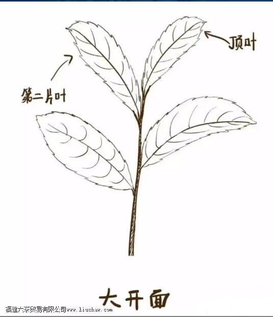 ��������ժ��׼��ʲô