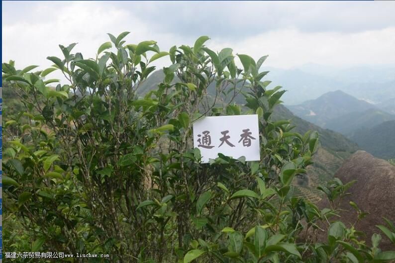 ͨ���㵥�Բ�����ЩƷ������