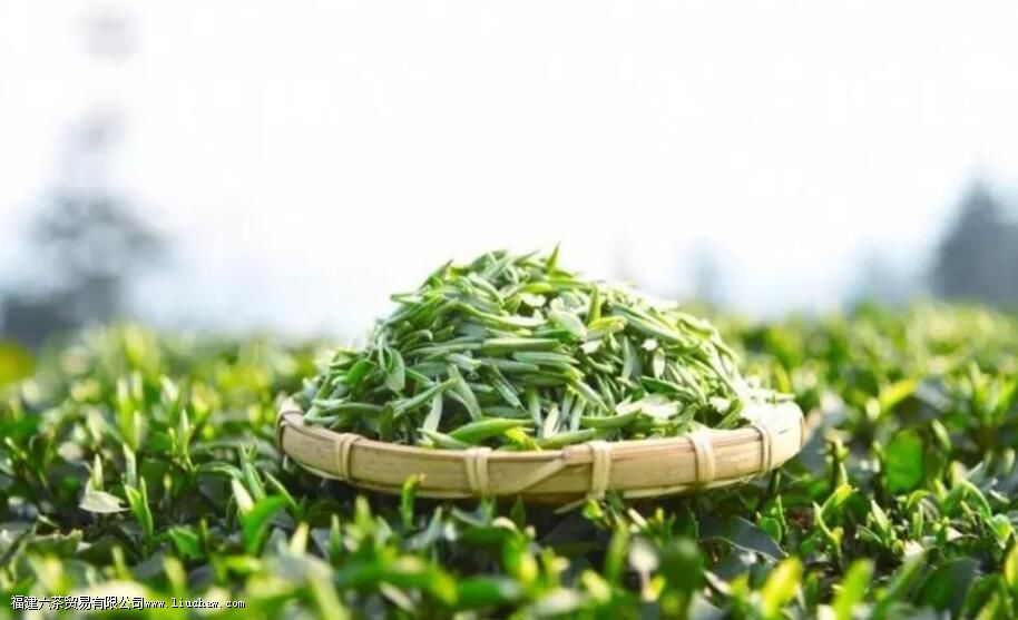 ͷ�ɲ衢ͷ���衢��ǰ�衢��ǰ�裬������Щ�Ͷ���