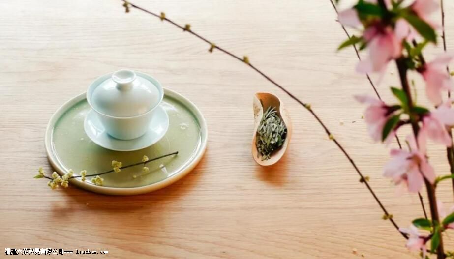 ͷ�ɲ衢ͷ���衢��ǰ�衢��ǰ�裬������Щ�Ͷ���