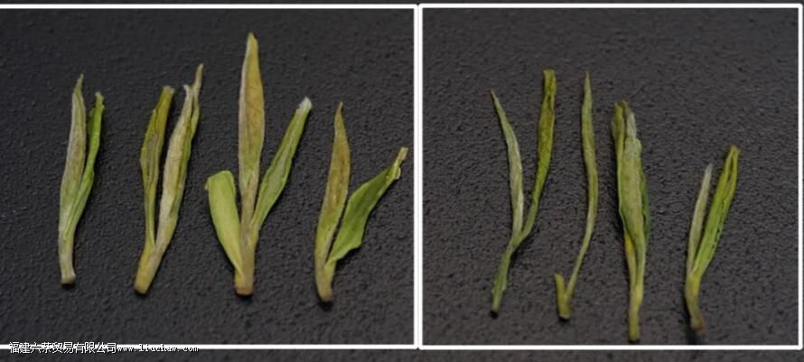 ͷ�ɺͶ��ɵ�������ʲô