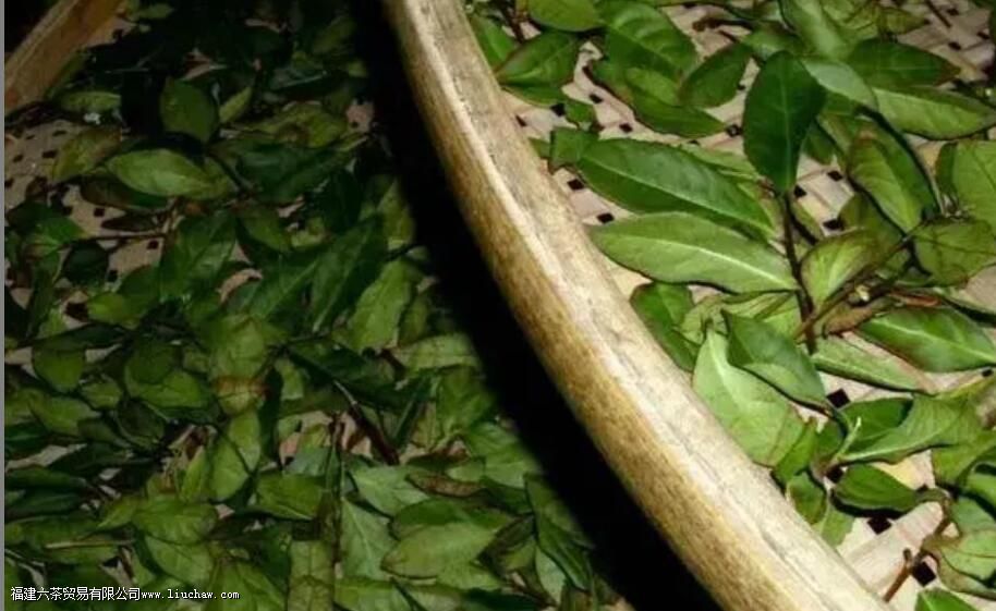 Ϊʲô˵��Ϫ�����������Ľܳ�����