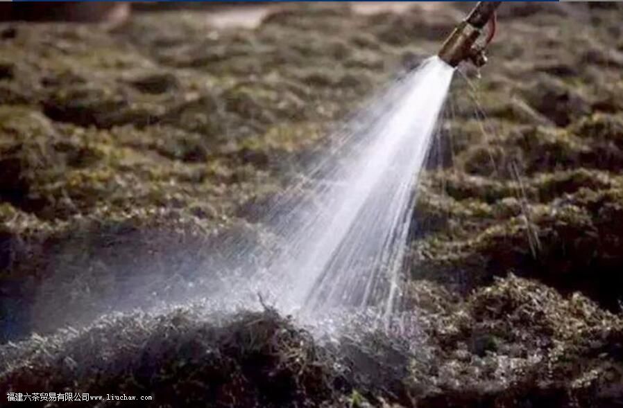 �׶ѵ���ҪĿ������Щ