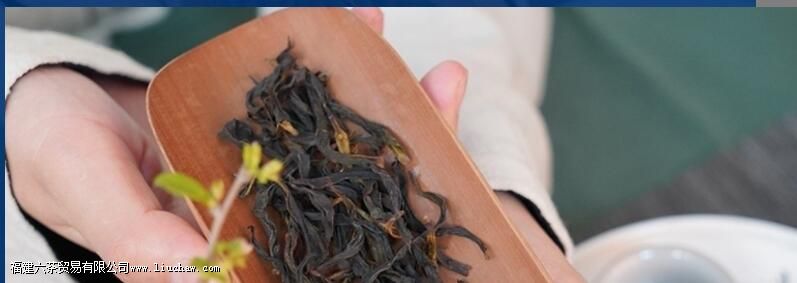 乌东单枞是什么茶 乌东单枞是什么茶