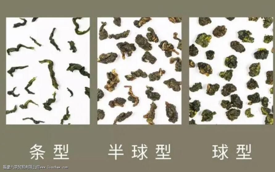 乌龙茶的代表茗茶以及种类 乌龙茶的代表茗茶以及种类