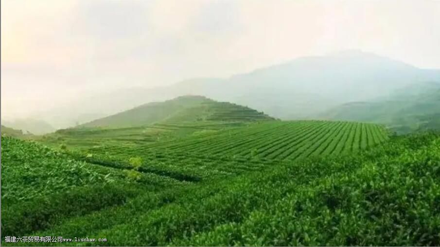 ������Ϊʲô��������