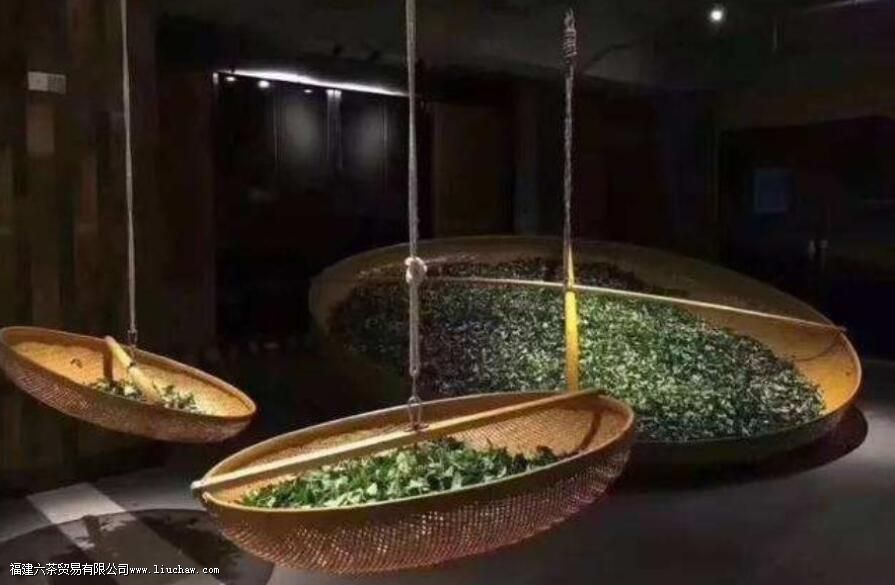 ������Ϊʲô��������