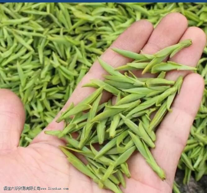 ��ţ������ʲô��Ҷ