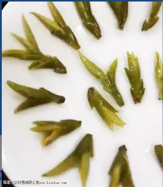 ��ţ������ʲô��Ҷ