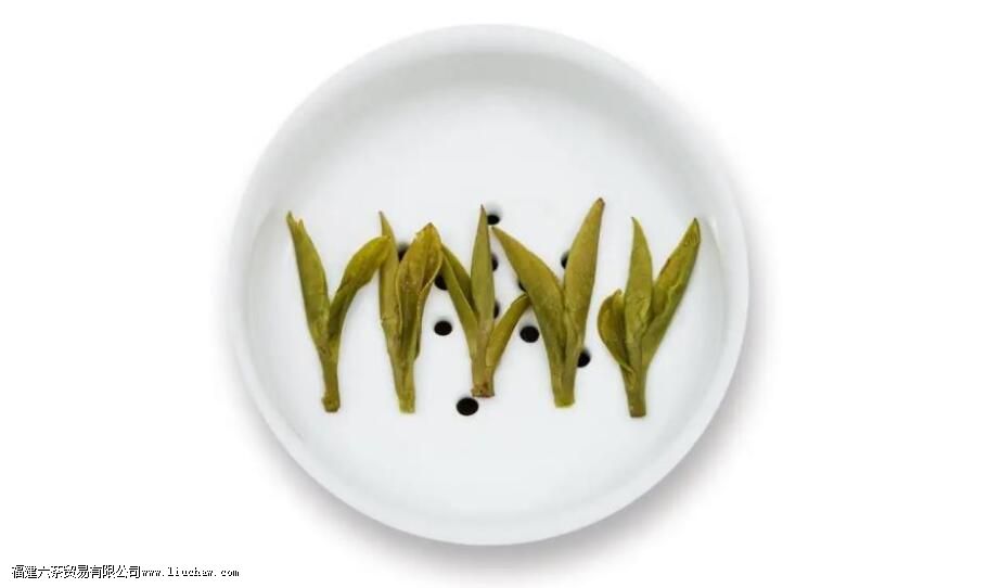 ��ţ������ʲô��Ҷ