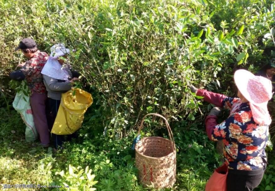 ����ɽ����֮��ժʱ��һ��