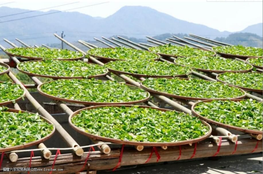 ����ɽ����֮��ժʱ��һ��